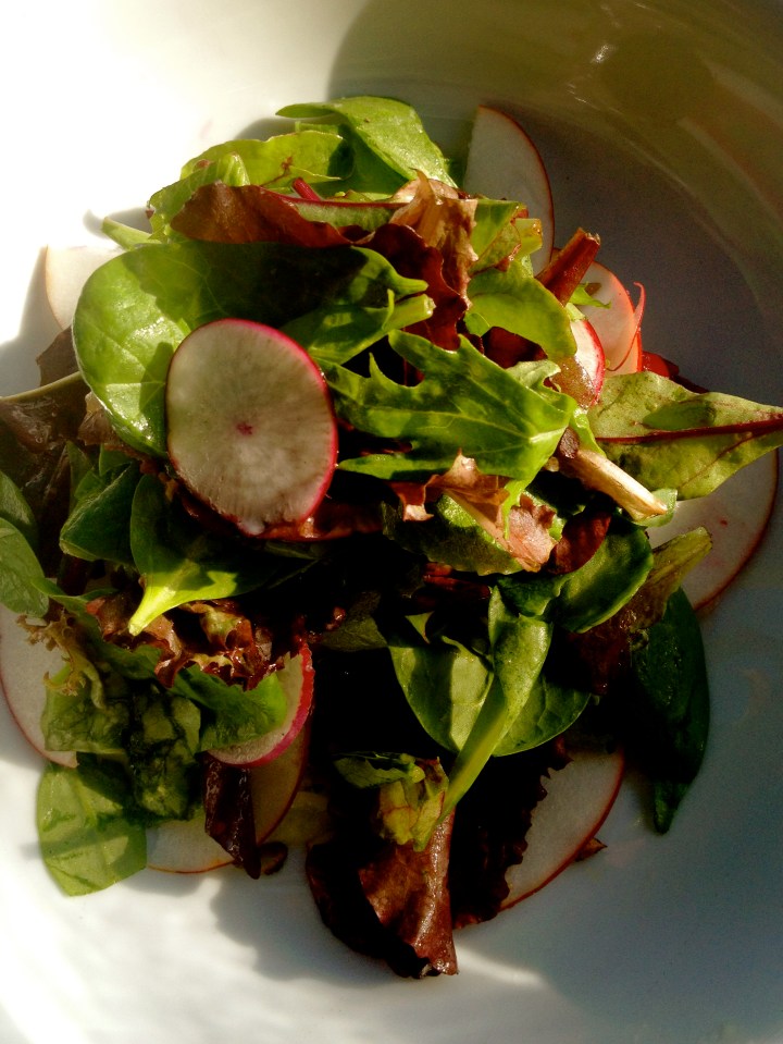 Beet salad at Duck Fat