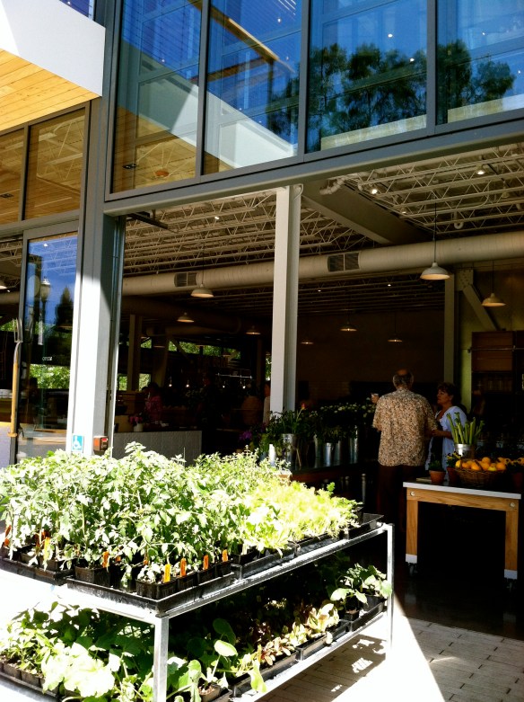 The Shed Healdsburg www.tavoladelmondo.com