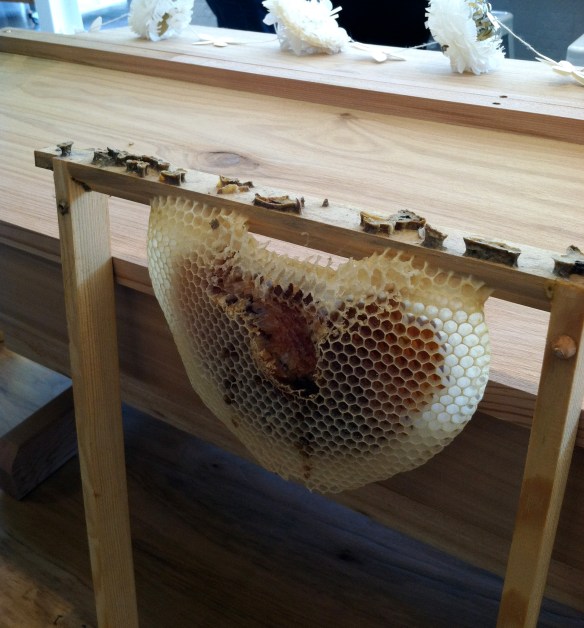 The Shed Healdsburg www.tavoladelmondo.com