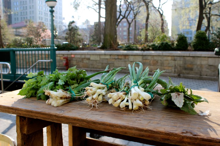 To the point at Gorzysnki. 