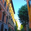 IMG_7191