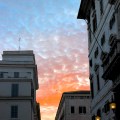 IMG_7433