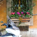 IMG_7501