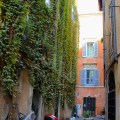 IMG_7507