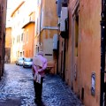 IMG_7512