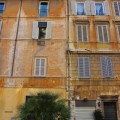 IMG_7534