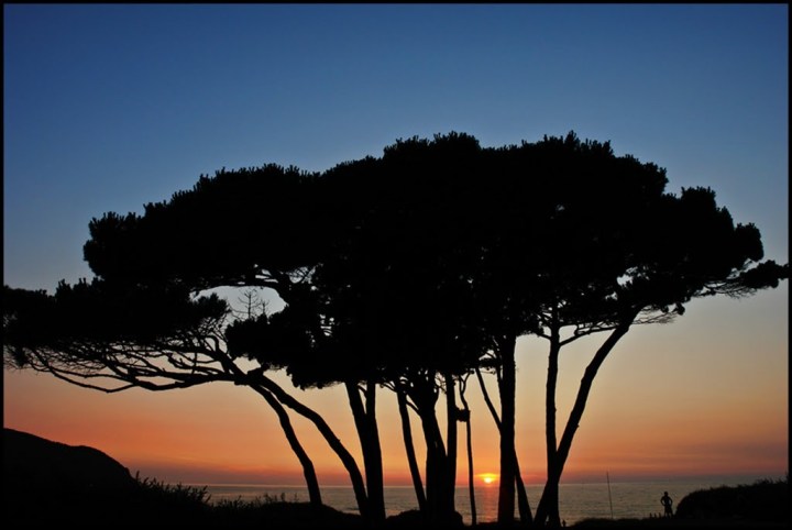 The Gulf of Baratti is sometimes called the Caribbean of Tuscany. It lay between the Tyrrhenian and Ligurian seas, and while it is especially popular for its beach and pine forest, it is equally renowned for the archeological remains in nearby Populonia, an ancient Etruscan town.