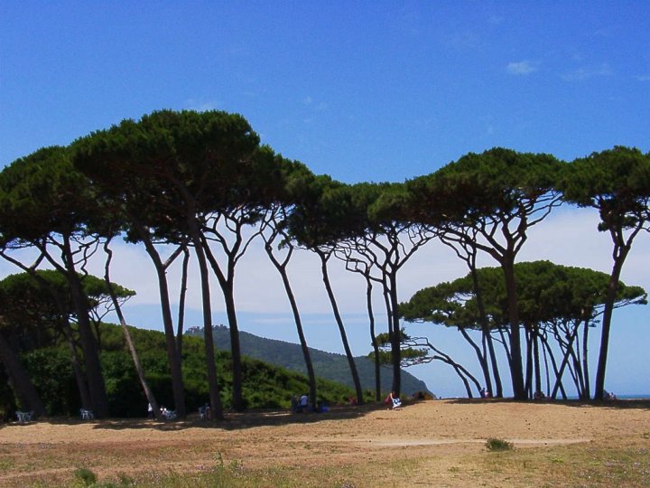 Baratti