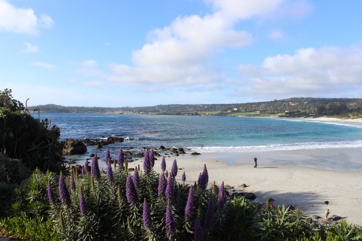carmel