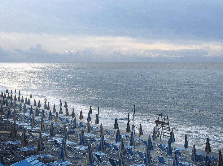 Screen Shot 2016-08-19 at 1.15.43 PM