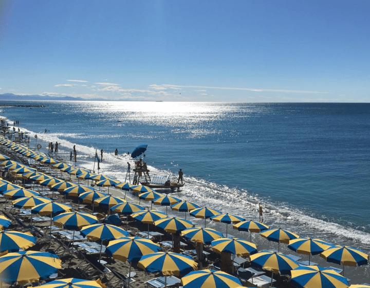 Screen Shot 2016-08-19 at 1.16.12 PM