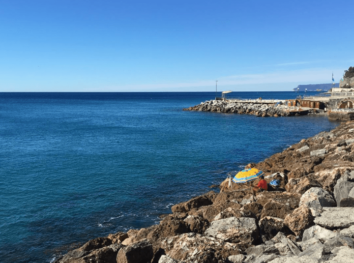 Screen Shot 2016-08-19 at 1.17.36 PM