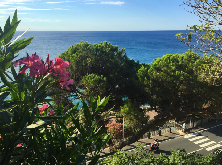 Screen Shot 2016-08-19 at 1.18.15 PM