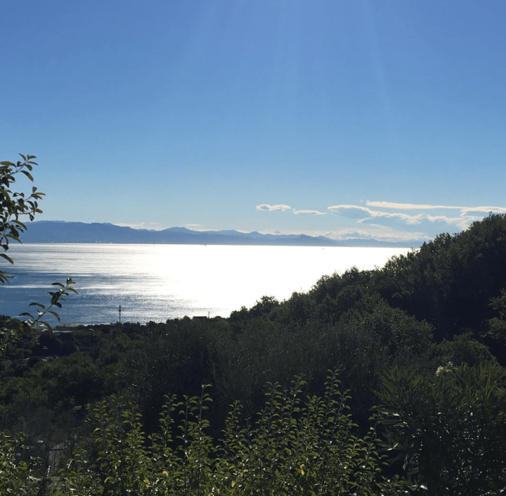 Screen Shot 2016-08-19 at 1.18.26 PM