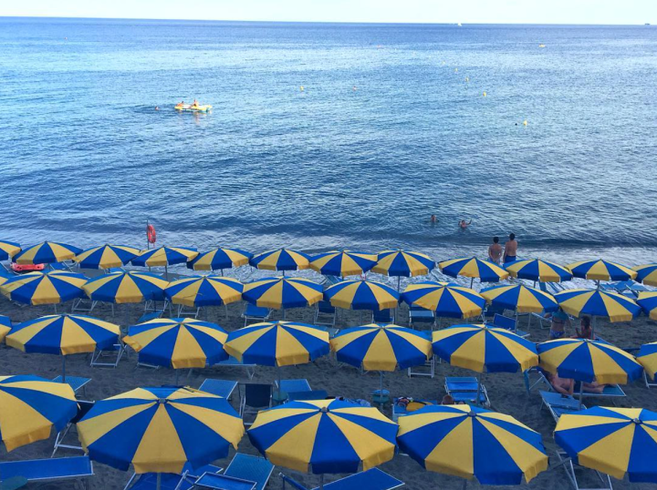 Screen Shot 2016-08-19 at 1.19.24 PM