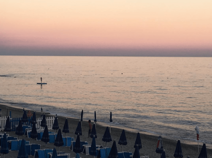 Screen Shot 2016-08-19 at 1.19.53 PM