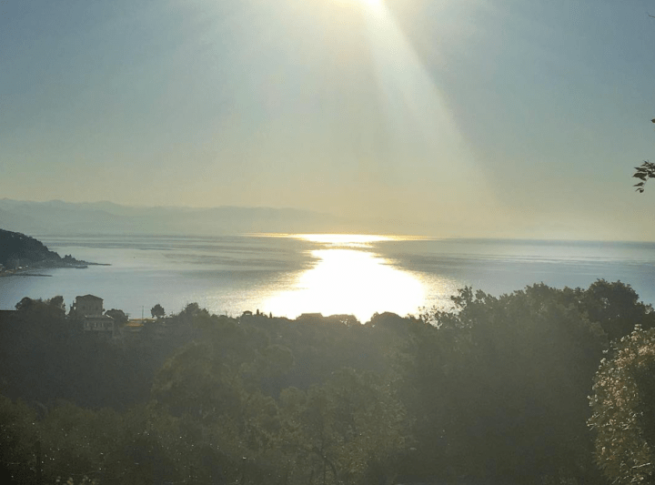 Screen Shot 2016-08-19 at 1.20.07 PM