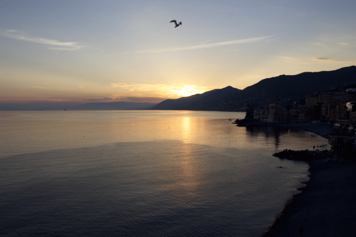 File 04-07-17, 11 53 05