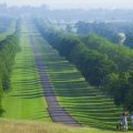 Windsor Great Park (Ph:&nbsp;WGP)