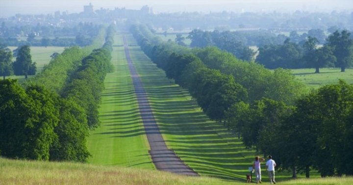 Windsor Great Park (Ph: WGP)
