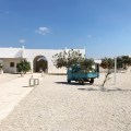 The beloved ape at Masseria&nbsp;Potenti