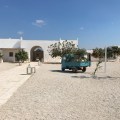 The ape at Masseria&nbsp;Potenti