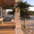 Evening light, a la late September, Masseria&nbsp;Potenti